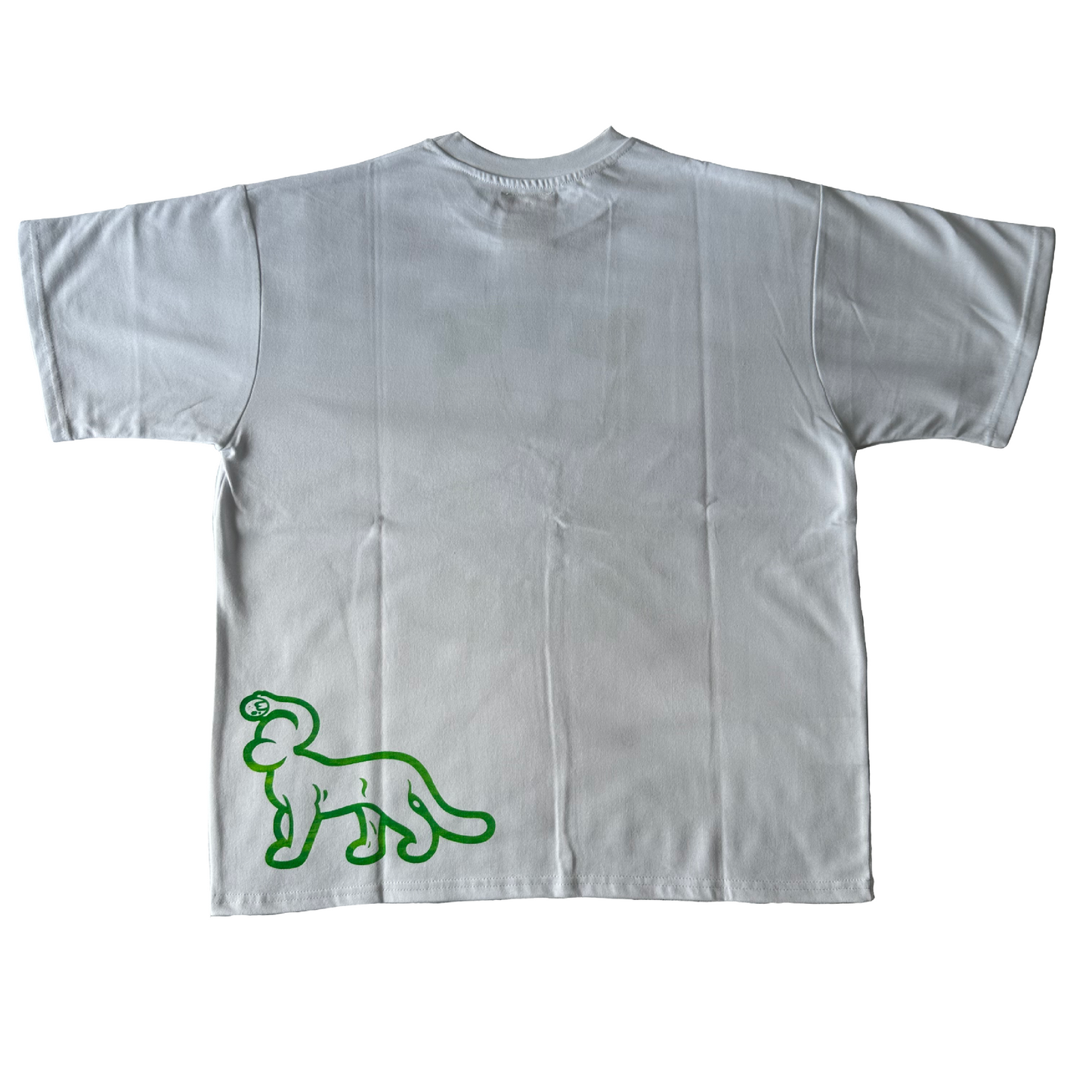 (XL) Steve french arch