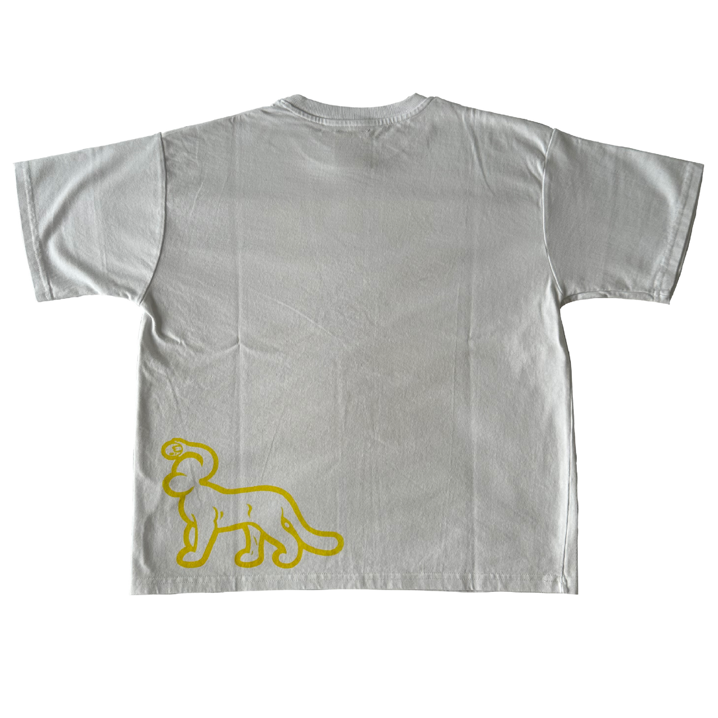 (S) Steve french arch